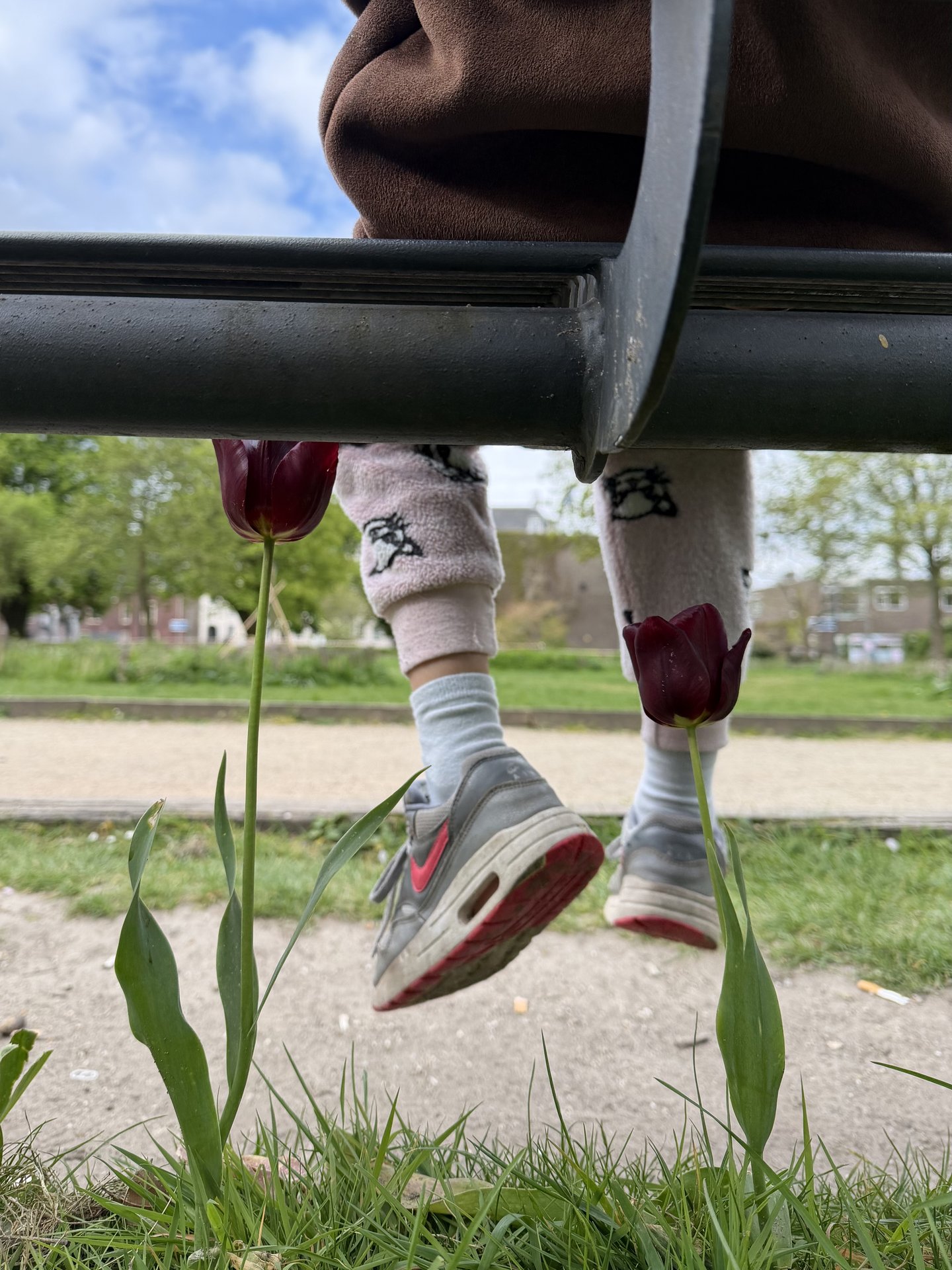 A low-angle shot captures a person's legs dangling from a bench, framed by vibrant red tulips and green grass at Kade West, Marineterrein, Amsterdam